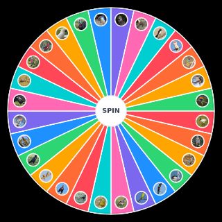 Random Australian Birds Wheel