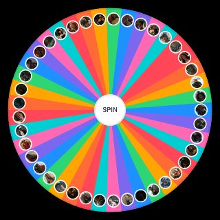 Random One Piece Season 2 Live Action Wheel