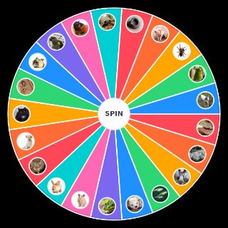 Choose a Random Beste Haustiere