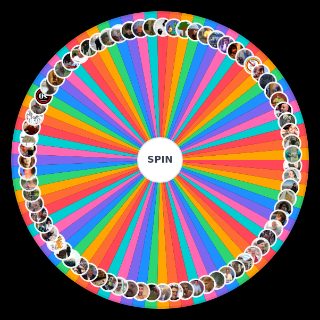Spin the Wheel: Magyar Mém