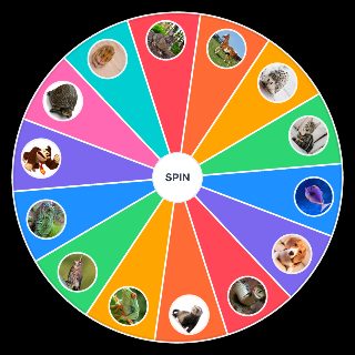 Random Household Pets Picker