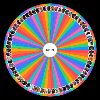 Canon Sith (Non Disney) Wheel