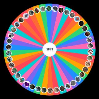 EVERY MM2 MAP (+ UNRELEASED MAPS) Wheel
