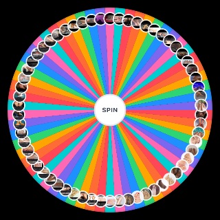Pied tkttt Wheel