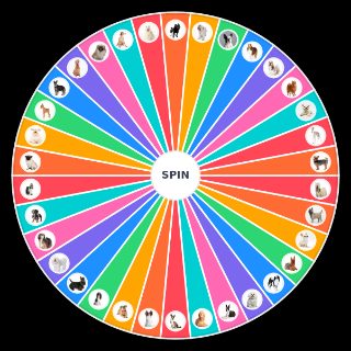 Pick a Random 34 razas de perros de ciudad