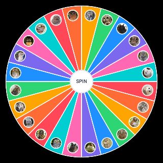 Owl Species Random Picker