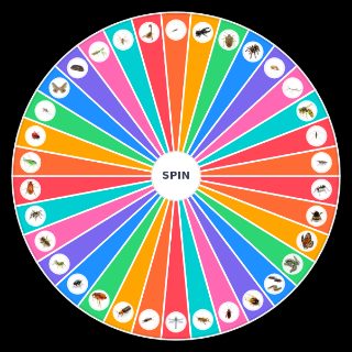 Random Official Bug Wheel