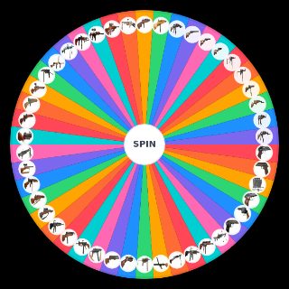 Pick a Random Rising storm 2 weapons