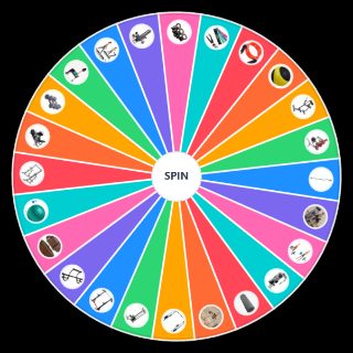 Gym Equipment Wheel