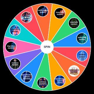 Spin the Wheel: Human Body Systems