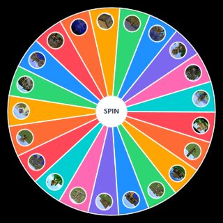 Random Minecraft House Type Wheel