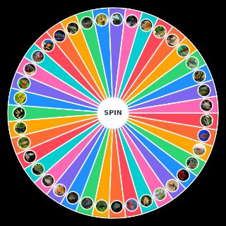 Aquarium Fish (Freshwater) Wheel