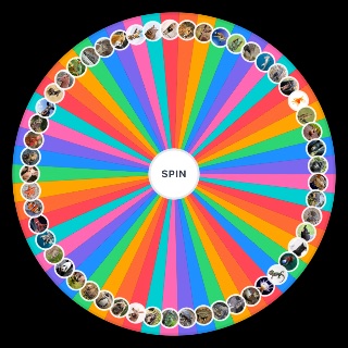 Spin the Wheel: Animals