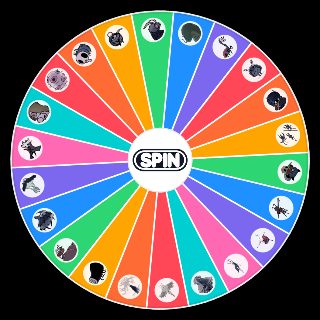 Spin the Wheel: Hollow Knight Waifus