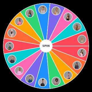 Choose a Random Big Brother 25 Contestants