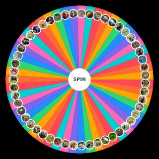 Random Animais Brasileiros Contra um Humano Pelados Num Ringue Wheel