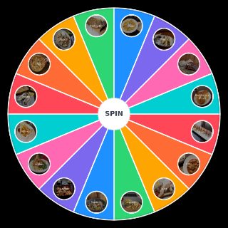 What is your favorite type of food? Wheel