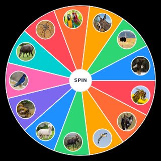 Animais que eu venceria na porrada Wheel