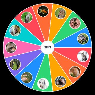 Animales Domesticos Wheel