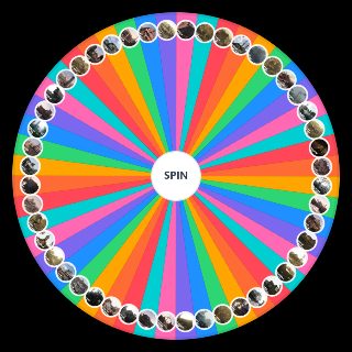 Hunt: Showdown Compounds (All Maps) Wheel
