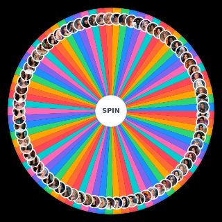Random Клуб Романтики | Женские Любовные Линии Wheel