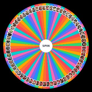 Random WWE Women's Roster [November 2024] Wheel