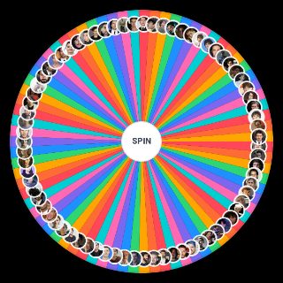 Spin the Wheel: hot guys