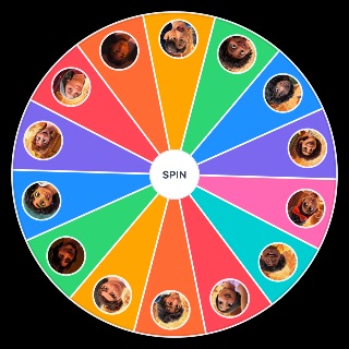 Random Encanto Characters Wheel