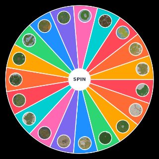 Spin the Wheel: Unturned Maps