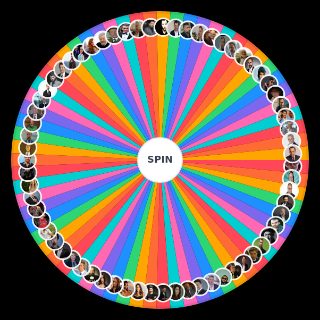 Spin the Wheel: TÜRK oyuncu listesi