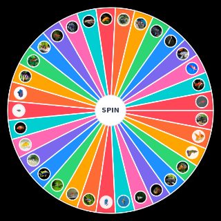 Spin the Wheel: Aquarium Fish