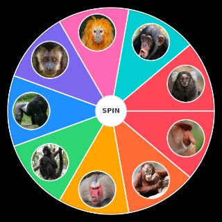 Macacos xD Wheel