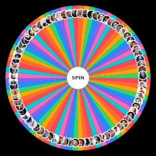 Spin the Wheel: Direita Brasil
