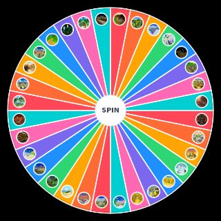 Random Mario Kart Wii Track's Wheel