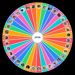 Random floppa Wheel