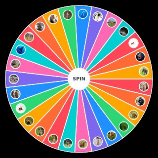 Pick a Random Official Animal