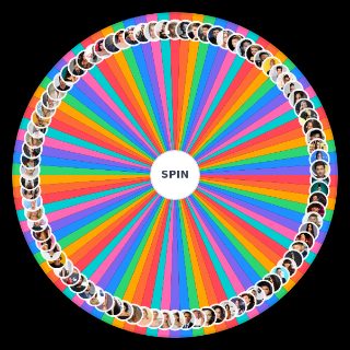 Celebrity Hogwarts Houses Wheel