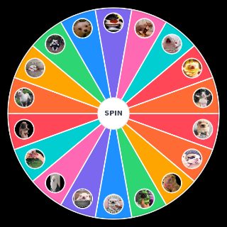 Spin the Wheel: Pibble (Pibble Palace)