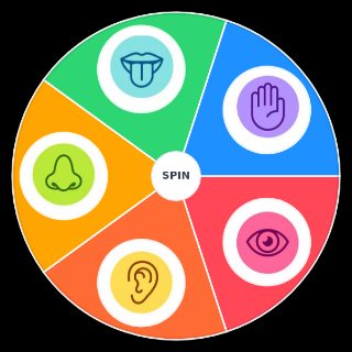 The 5 senses wow Random Generator