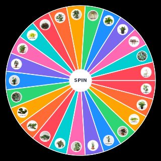 House plants Wheel