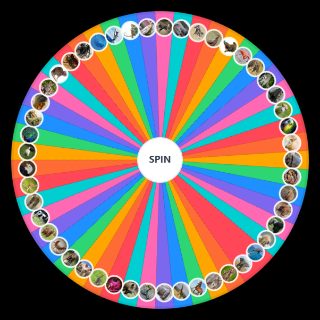 Random LUTA HUMANO vs ANIMAIS Wheel