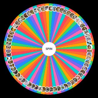 Spin the Wheel: One Piece Alabasta Saga Characters