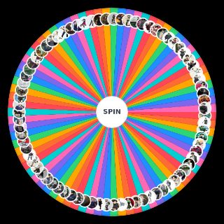 Spin the Wheel: Levi Fashion