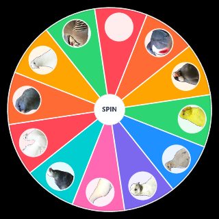 Hatoful Best Bird Random Picker