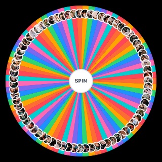 Random my ships Wheel