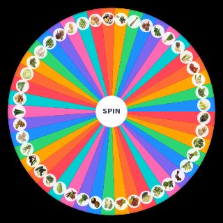 Spin the Wheel: All the Vegetables (better)