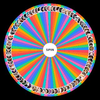 Najlepszy polski strimer Wheel