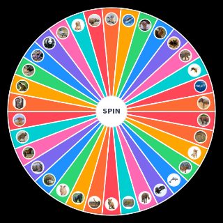 Animals I Could Beat In A Fight Wheel