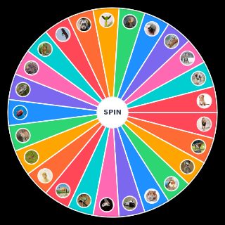 pets Wheel