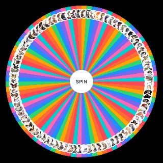 Random Every Reverse 1999 Playable Character (Up To Date) Wheel